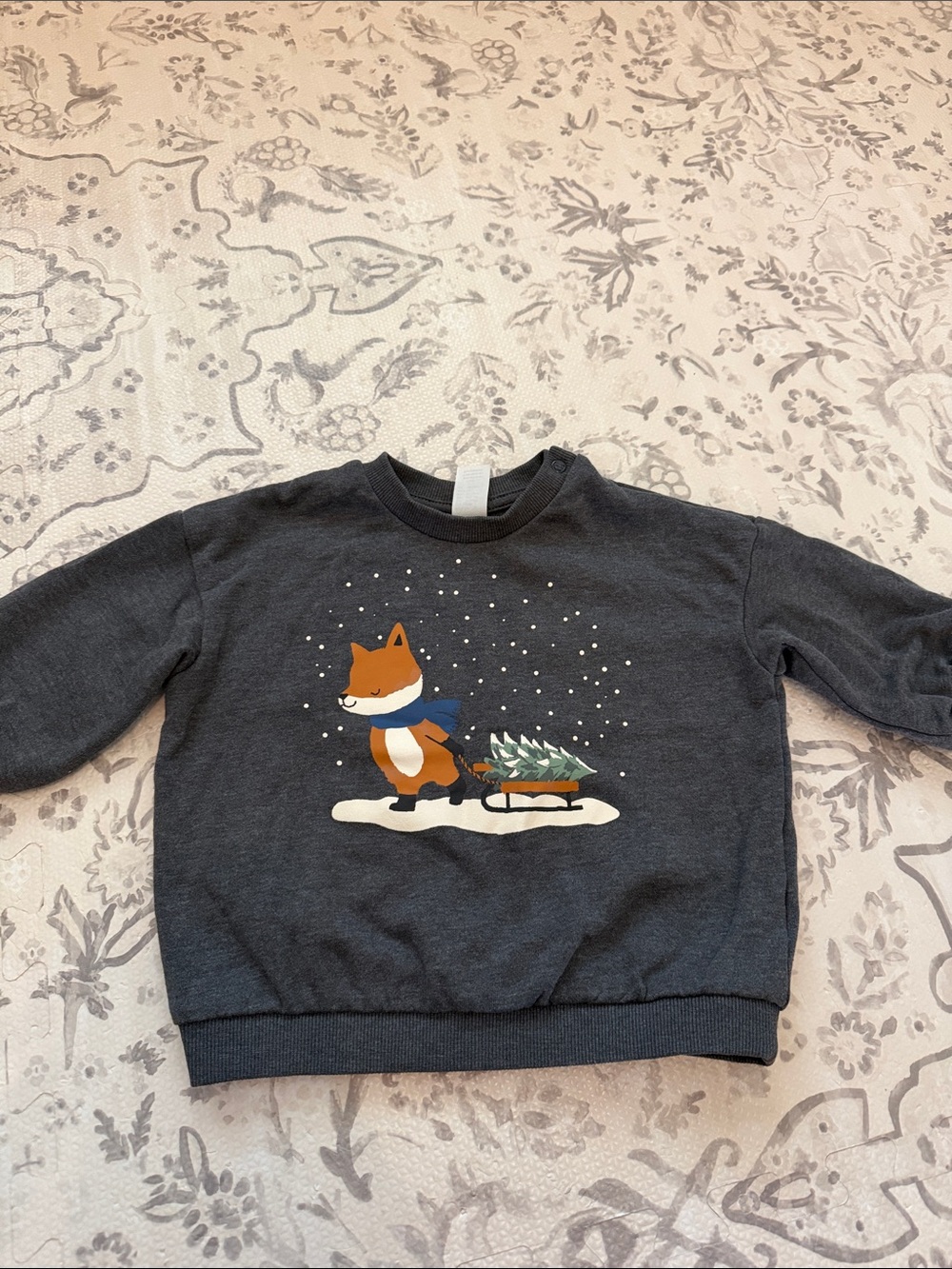 Baby Fox Graphic Sweatshirt H&M